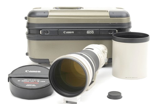 Mint con tronco - [mint+++++, tronco]
